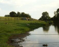 Wharf cottage 14