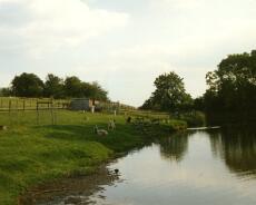 Wharf cottage 8