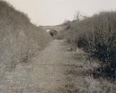 P1040-5 Cutting on former Henley-in-Arden branch at Lowsonford with Potato Lane bridge in distance March 3 1961 © Richard King